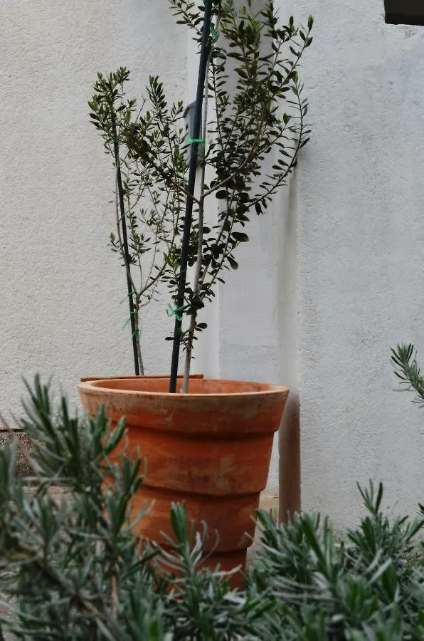 Appartamento Apartman Roguljic Spalato